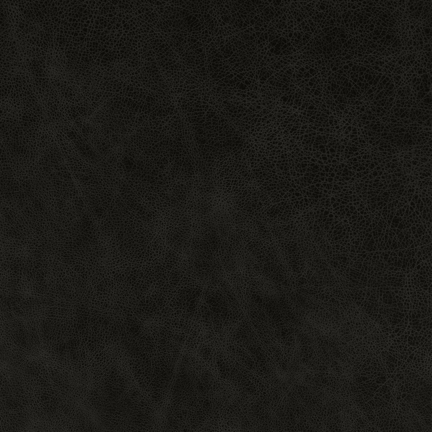 HILL GRIS