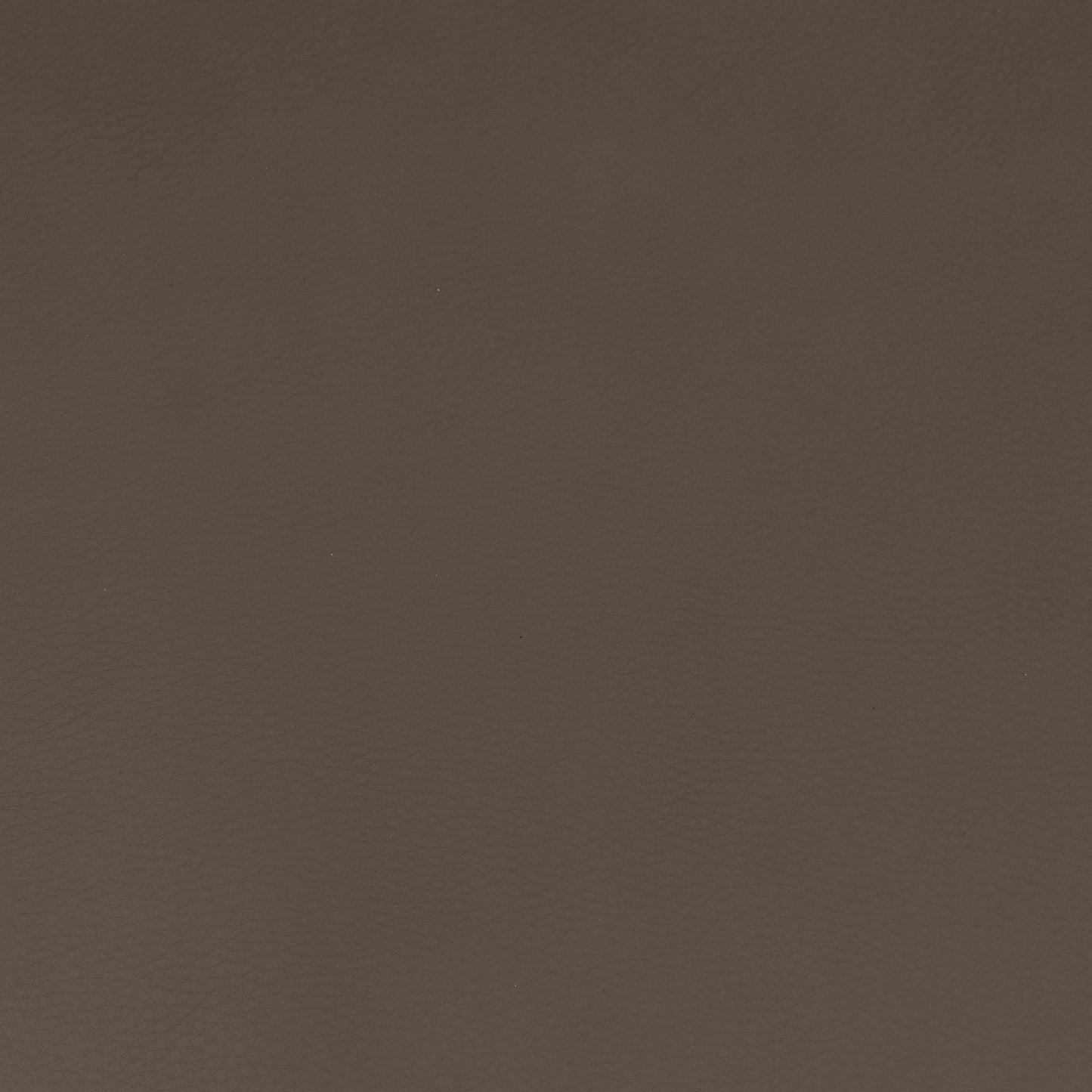 HILL TAUPE